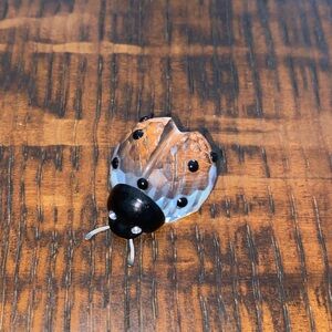 Black and Clear Ladybug crystal
